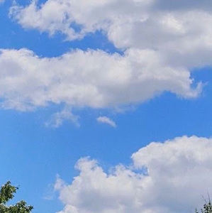 Meet your Posher, Bemnet